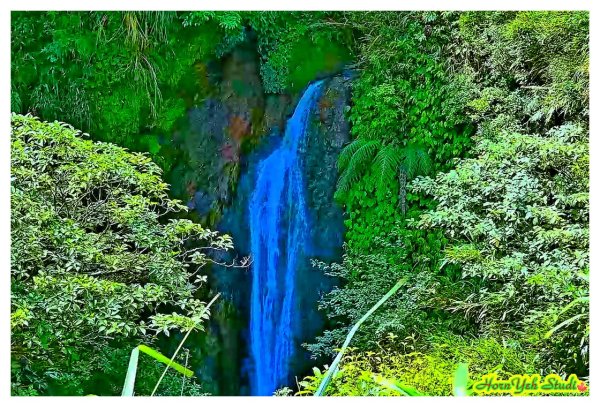 北環段七星山人車分道 七星瀑布 夢幻湖 下冷水坑泡腳趣2864585