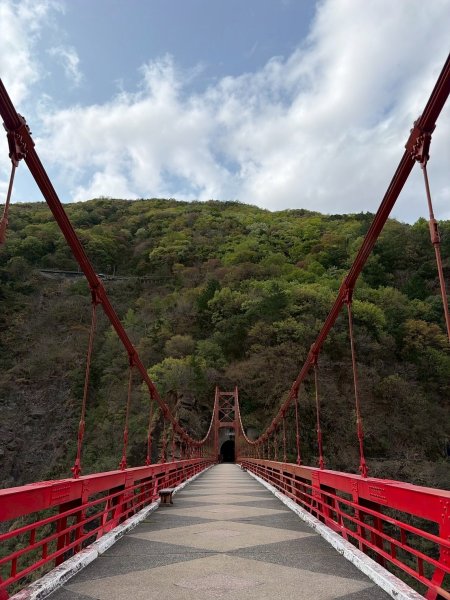 桃園 復興 巴陵隧道3011943