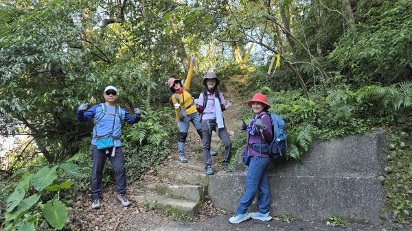 2025貓空樟樹步道花海搶先看，展期：1月18-2月9日，喜歡小冒險可以挑戰攀爬路線猴山岳。2691446