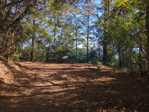 2025.12.06－北坑山步道&雪見遊憩區2956233