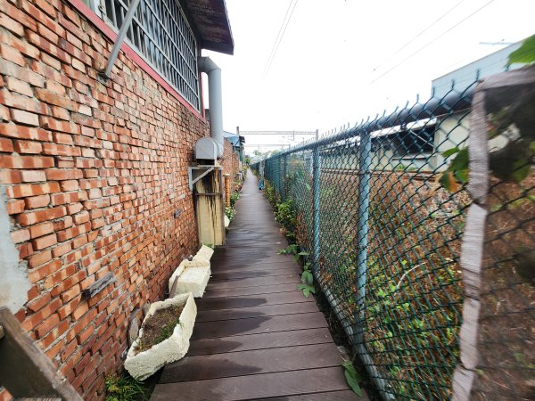 20260125口山步道2995142