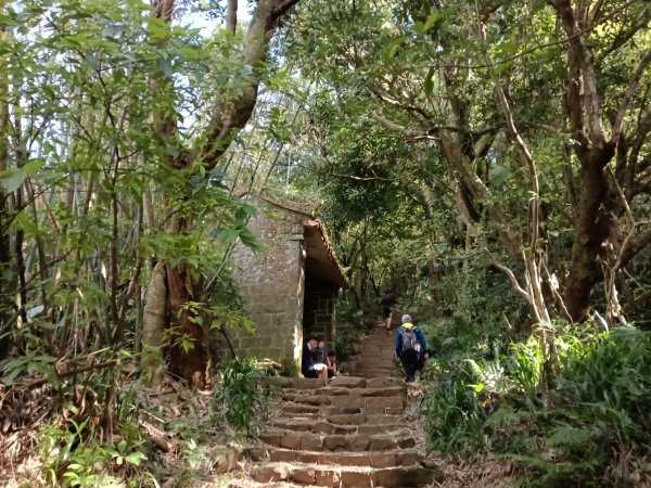 北投區清天宮步道+面天山+向天山+向天池+興福寮步道+頂青礐古道P字走2960031