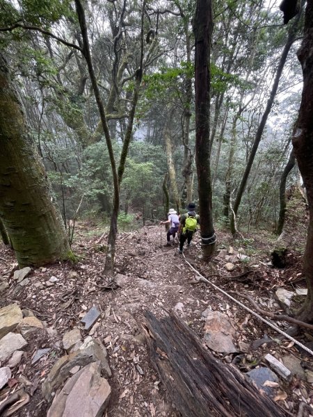 谷關七雄 《 馬崙山 》2025 09/062879783