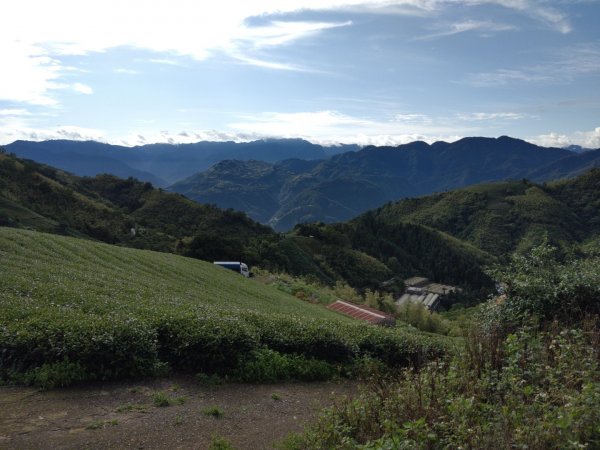 嘉義梅山太平，雲嘉五連峰1712793