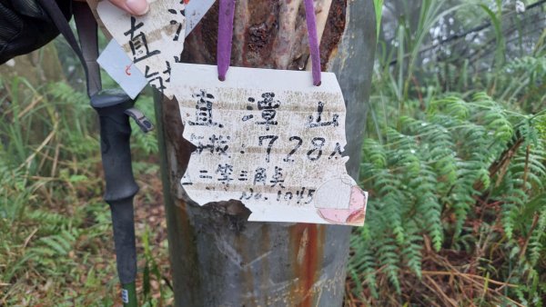 2025元旦山行 新店直潭山、二龍山O型2784962