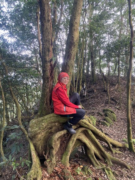 坐公車接駁的神仙縱走2707386