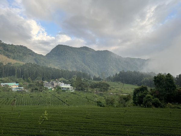 [嘉遊好步道．來嘉走走-04/10] 2024_1011 阿里山頂湖步道2624769