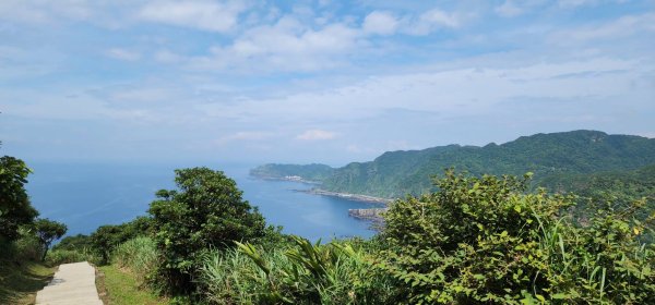 烈日當頭的南子吝2813165