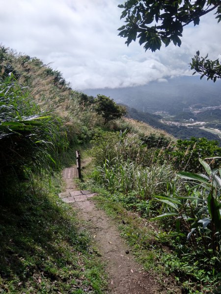 基隆山 金瓜石地質公園 報時山1056042