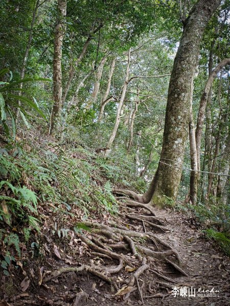 新竹縣尖石鄉~李崠山2154895