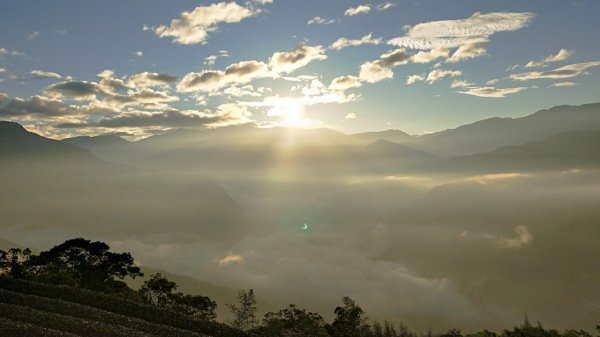 【巃頭-龍銀山天氣】阿里山日出私房秘境691526