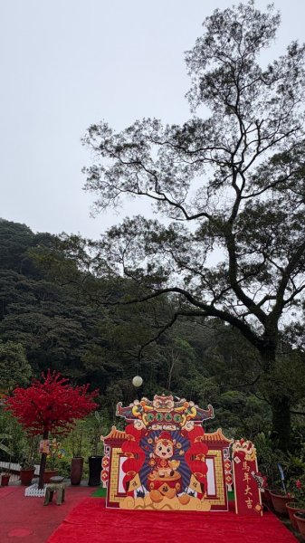 太、清、石2994659