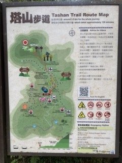 1130306大塔山步道2696743