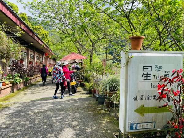 1140319仙山-仙山南峰2738268