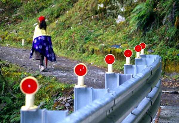 山風15度C吹拂 ~ 合歡溪 步道1551785