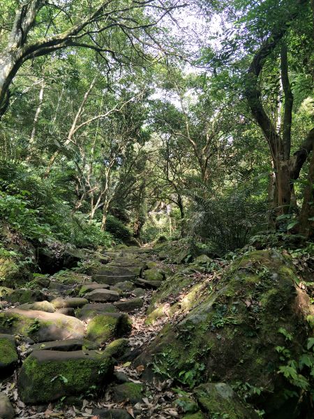 2018 05 14 鳴鳳山古道331636