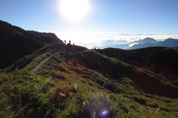 【步道小旅行】登山新手之能高越13K.奇萊南峰日出雲海4423