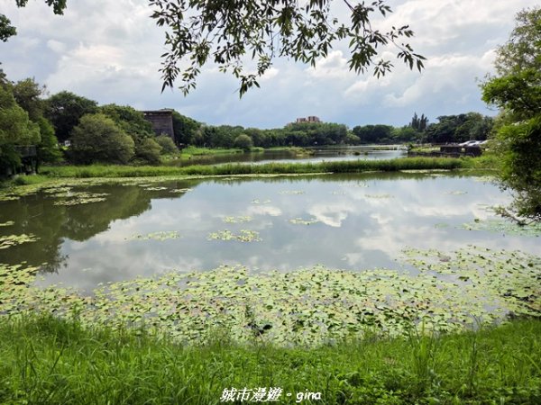 【台中東勢】東勢林業文化園區x許良宇圖書館3081514