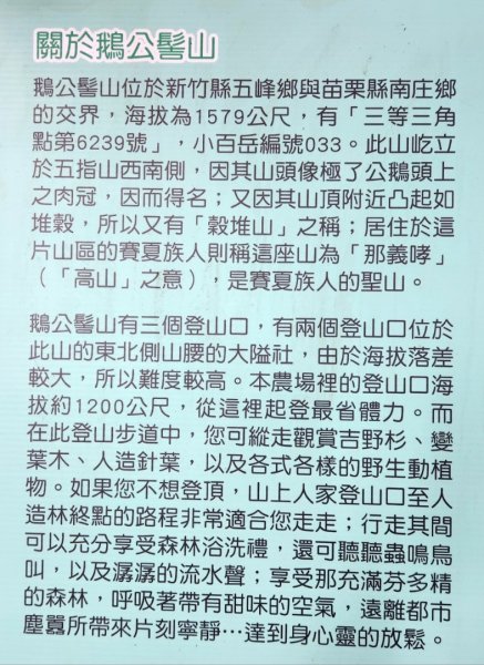 【中級山】有一種美，令人不想回家，新竹鵝公髻山2744665