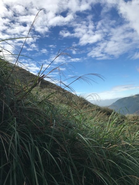 七星山攻頂577468