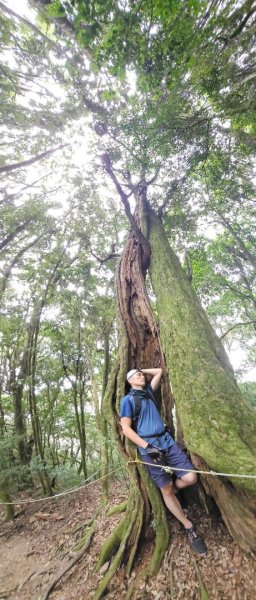 20251014雪見遊憩區 🚴‍♂️咖搭車走司馬限林道上東洗水山兩刷北坑山至大板根2916445