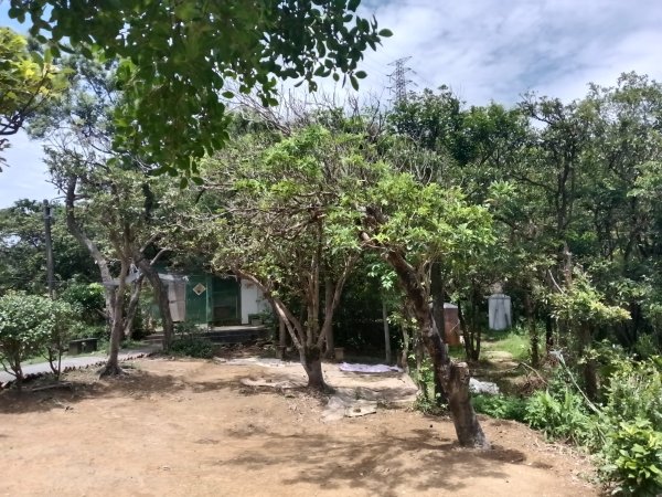 瑞芳區長青早起會觀景+碧峰岩步道2854006