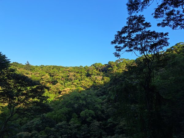 新竹鳳崎落日，司馬庫斯神木群，李崠山步道3131079