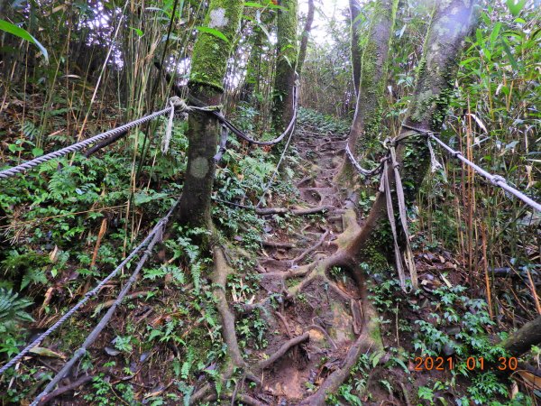 新北 三芝 小觀音山、大屯溪古道1251721