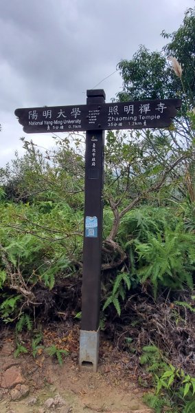 2023-12-16軍艦岩、丹鳳山親山步道2381864