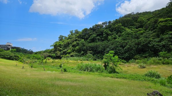 月眉坑瀑布步道.卯澳.雙柑公路2224800