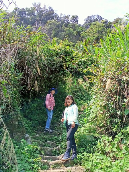 【苗栗-臺灣百大必訪步道】泰雅族抗日的馬那邦山登山步道1347677