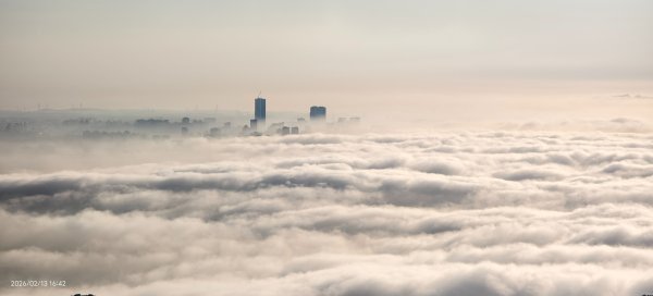 #觀音山 #雲海 #夕陽 #天空之城 #大赤鼯鼠（飛鼠） 2/132999434