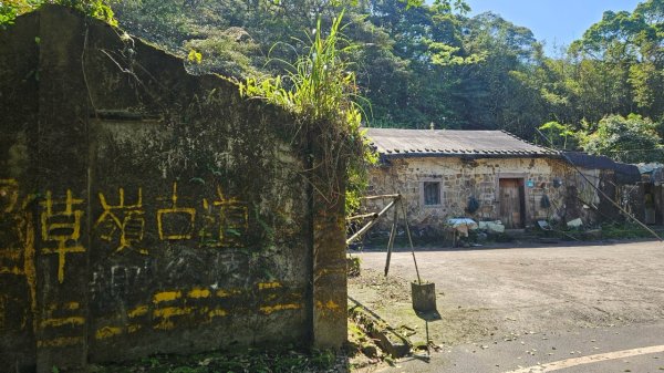 20250322遠望坑古道-龜媽坑古道中線-虎子山古道2743249
