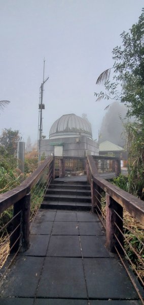 2023-11-25溪頭鳳凰山步道2361027