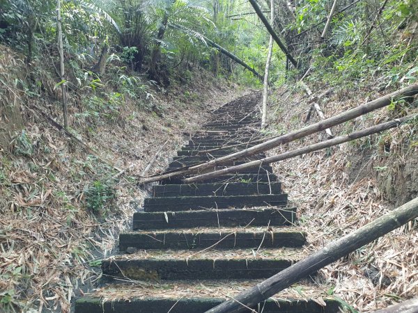 五間登山步道1452890