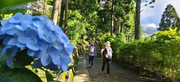 2025/06/07-鳥嘴山步道2805973