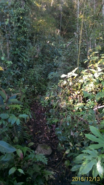 20151213尖石鄉屯野台山石麻達山28001