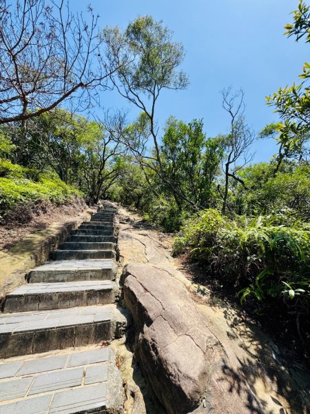 北投走軍艦岩丹鳳山出新北投3057076