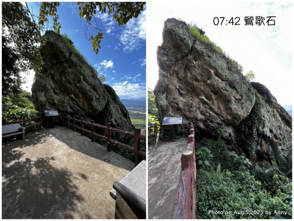 連走微笑山線第一段＋第二段（大棟山系）2853012