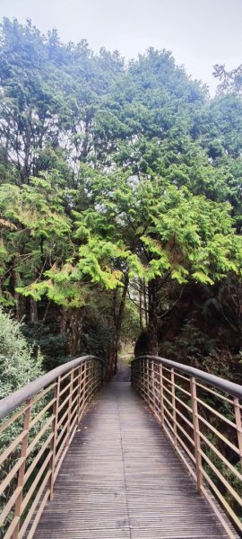 太平山翠峰湖見晴懷古步道2629016