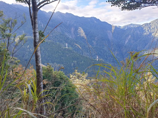 20230108鹿山、鹿坑山、南比林山與尤命神木2010935