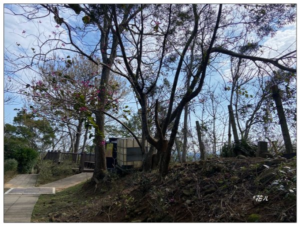 老崎古道、老崎坪頂山 (頭份)2737182