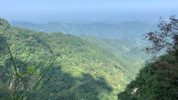 【小百岳】鵝公髻山Ｏ型、柳杉森林浴、上坪溪瀑布群1630699