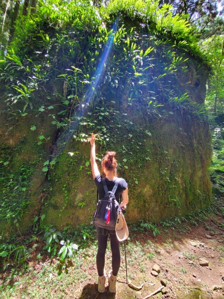 【嘉義|大凍山】多林-頂湖走1010191