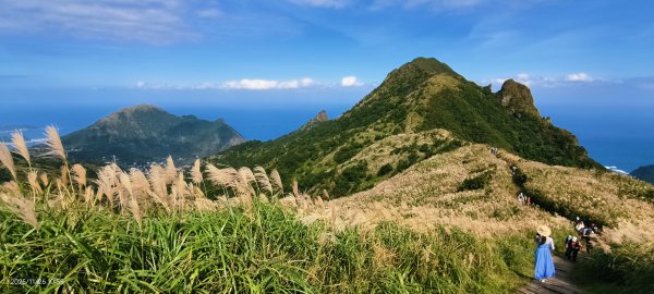 #半屏山 #芒花 11/262946031