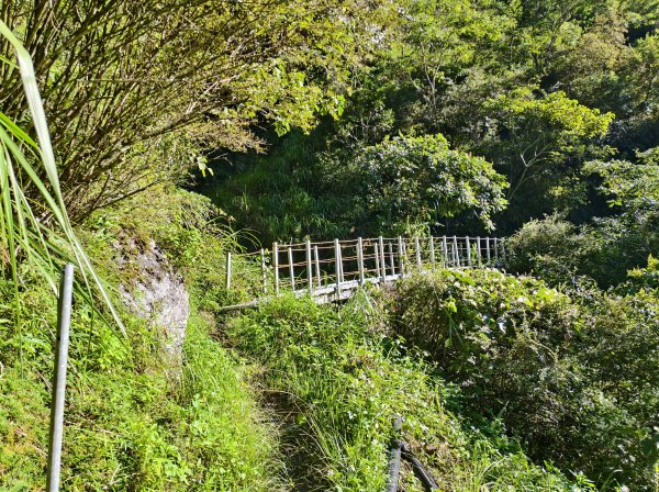 [玉山尋寶任務-07/12] 2025_0824 八通關雲龍瀑布步道2870571