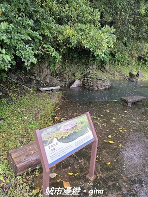 【宜蘭頭城】龜山島步道3043997