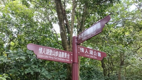 基隆市海興森林步道-情人塔-老鷹岩-情人湖登山步道O型3092711