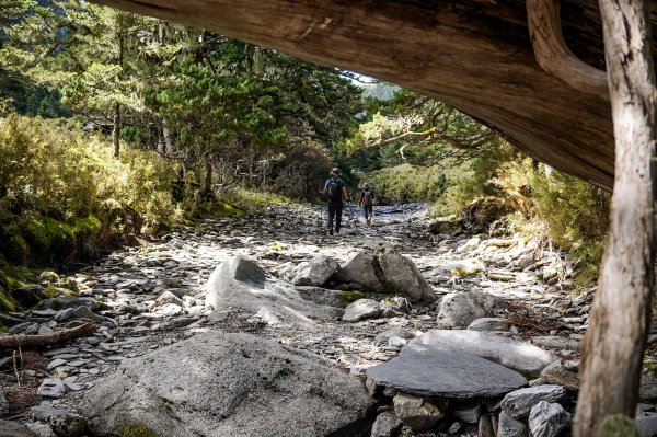 帝王之座-南湖東峰線｜南湖東峰＋陶塞峰＋馬比杉山2884917