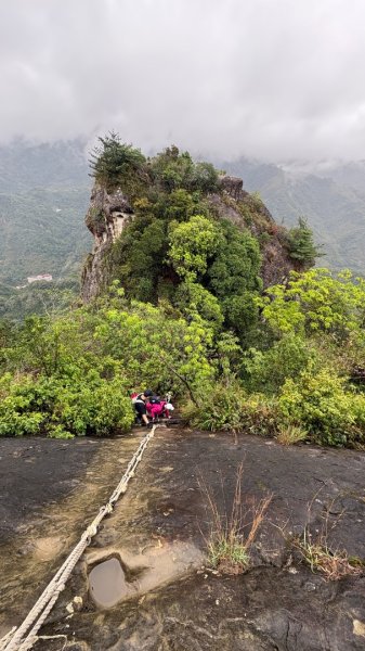 迎新（2026元旦2975598